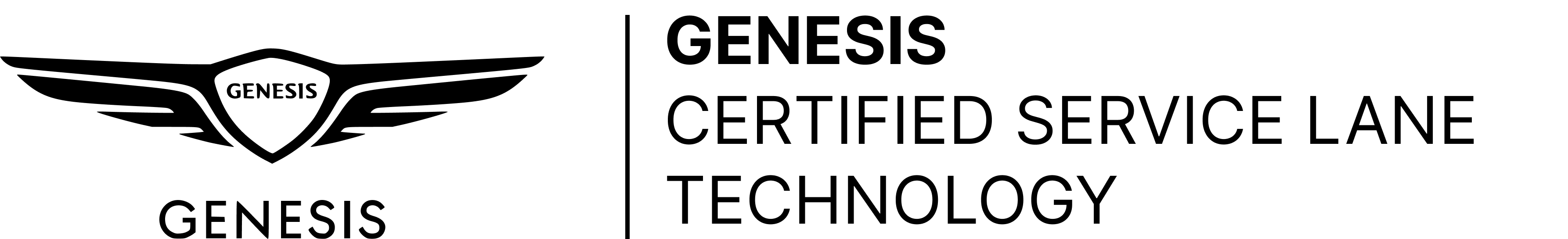 Decorative black image with no meaningful content (used as a page background/divider)